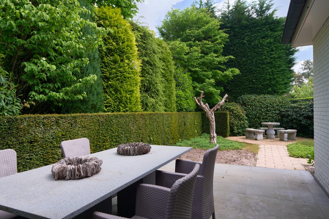 Foto 47 van El Pinar 13