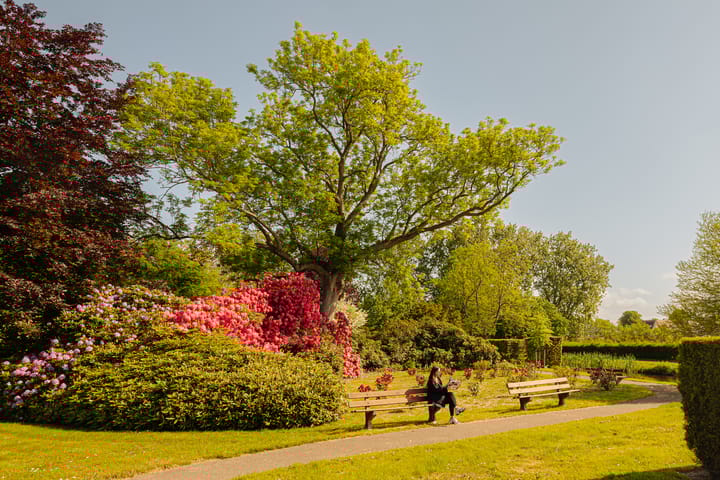 Photo 43 of Boekenroodeweg 17-N