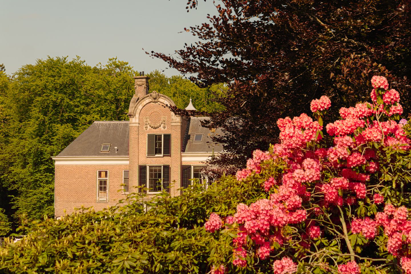 Boekenroodeweg 17-n main image