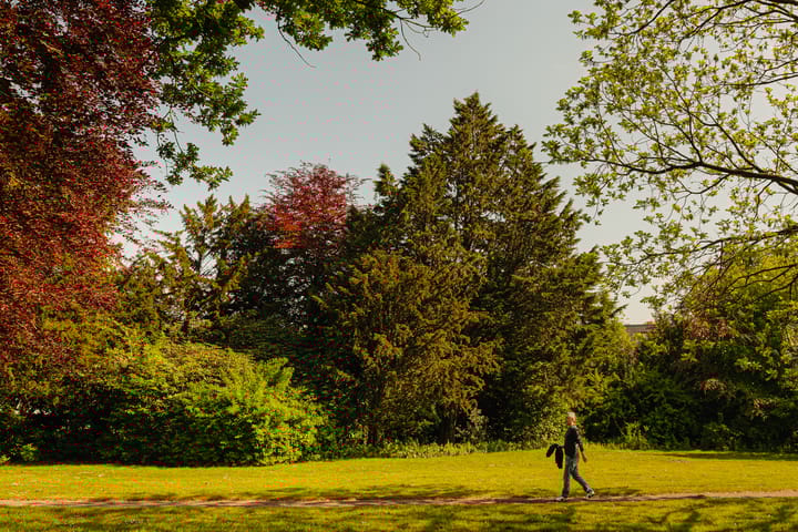 Photo 34 of Boekenroodeweg 17-N