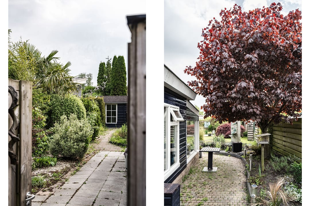 Foto 2 van Zonnehoek 100