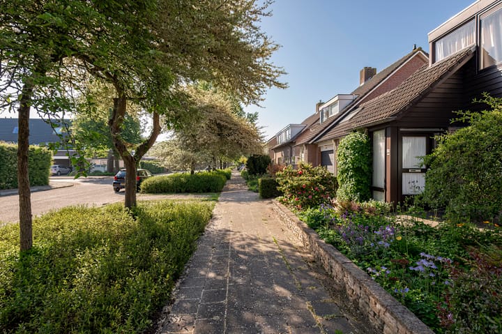 Foto 2 van Noteboom 41