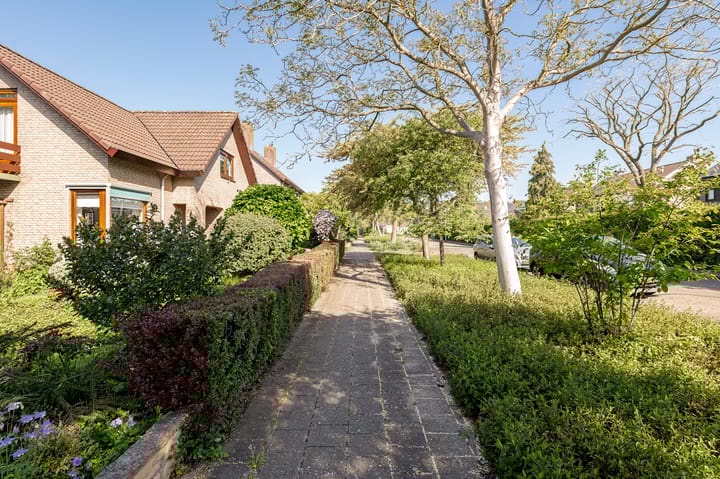 Foto 46 van Noteboom 41