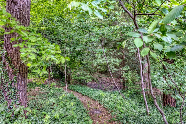 Foto 79 van Quatre Brasweg 20