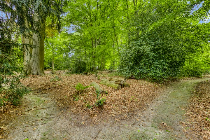 Foto 80 van Quatre Brasweg 20