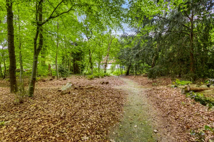 Foto 82 van Quatre Brasweg 20