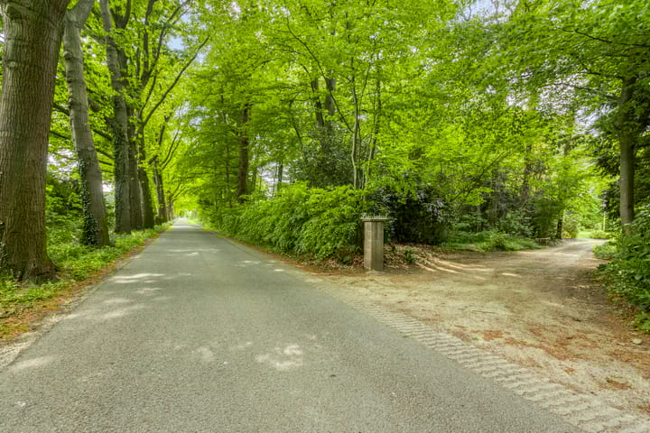 Foto 84 van Quatre Brasweg 20