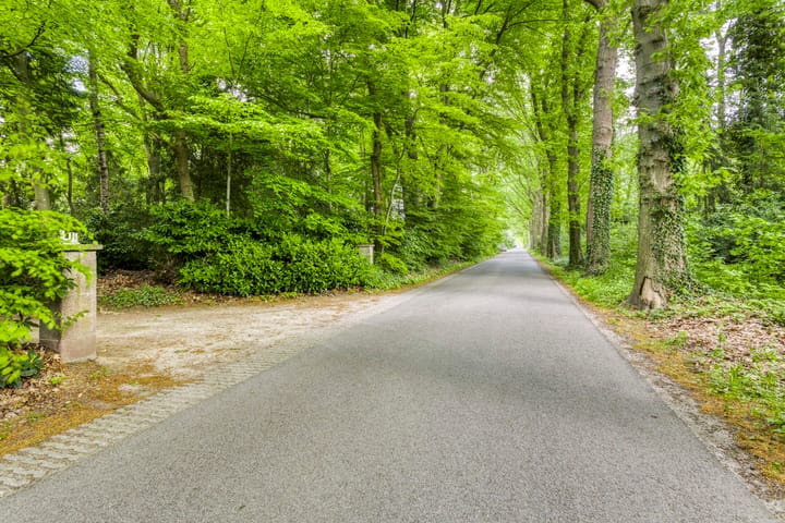 Foto 85 van Quatre Brasweg 20