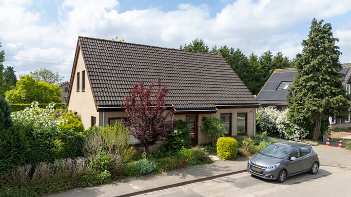 Foto 5 van Sterappel 12