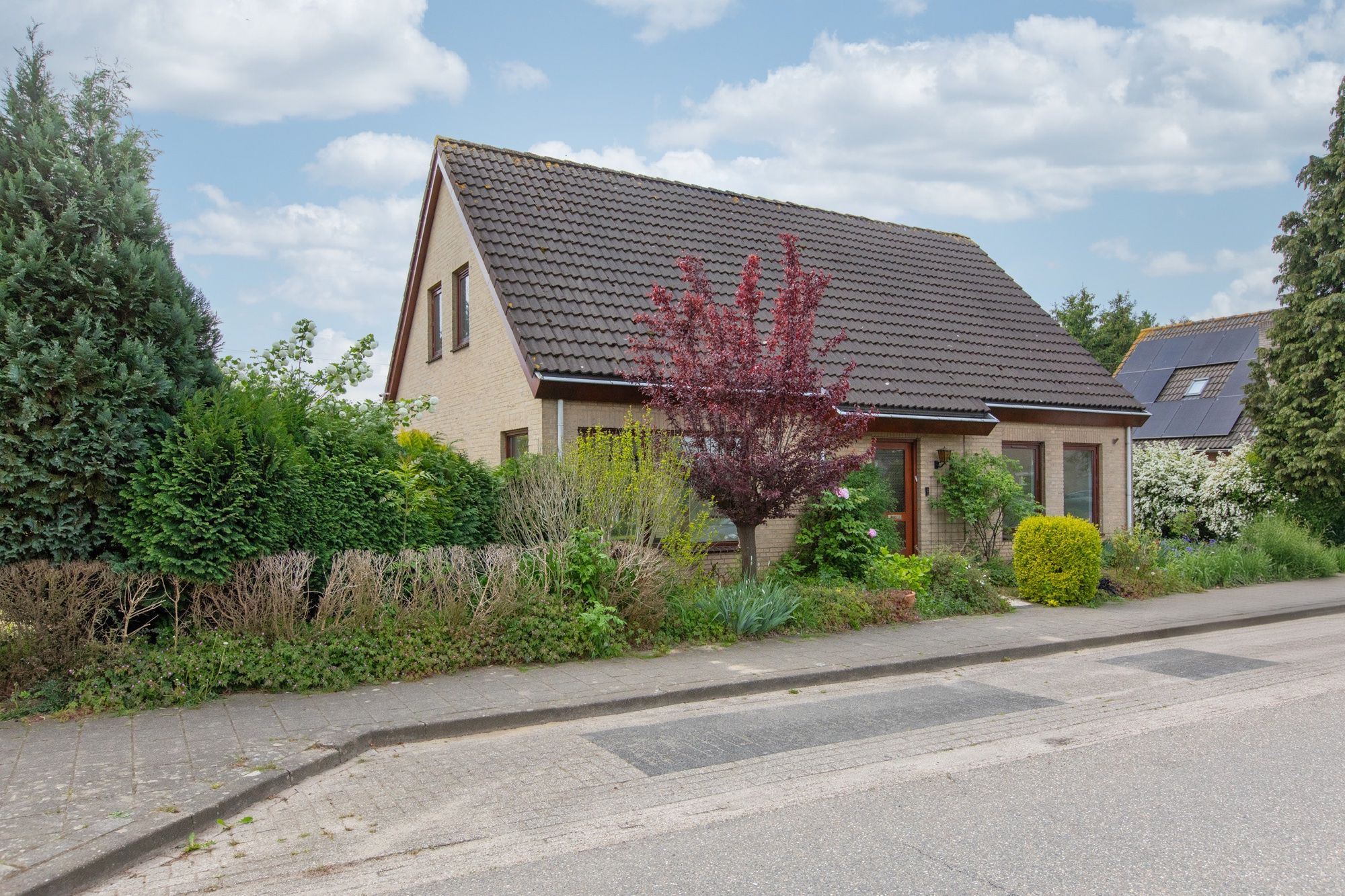 Foto 6 van Sterappel 12