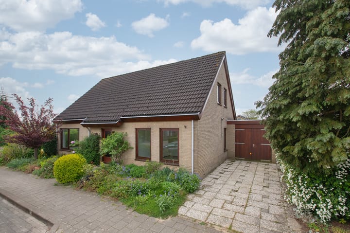 Foto 8 van Sterappel 12