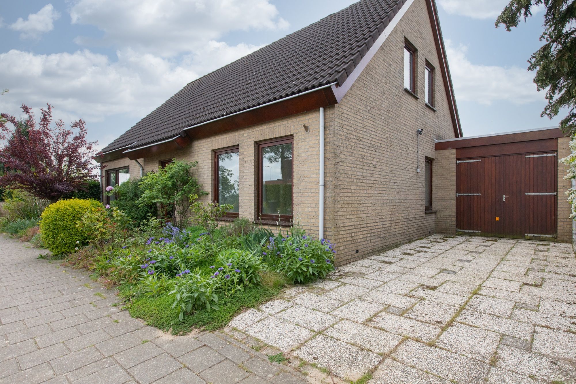 Foto 9 van Sterappel 12