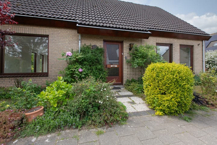 Foto 10 van Sterappel 12