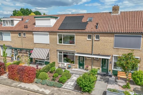 undefined main image