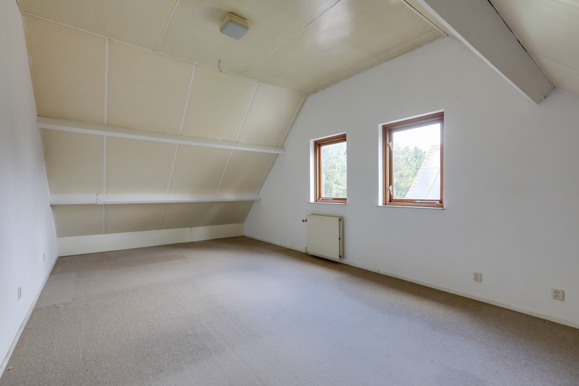 Foto 36 van Sterappel 12