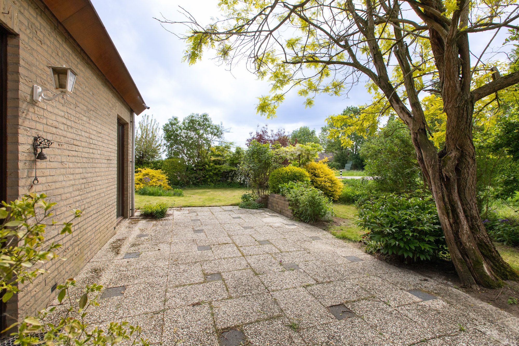 Foto 39 van Sterappel 12