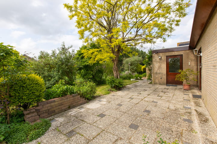 Foto 41 van Sterappel 12