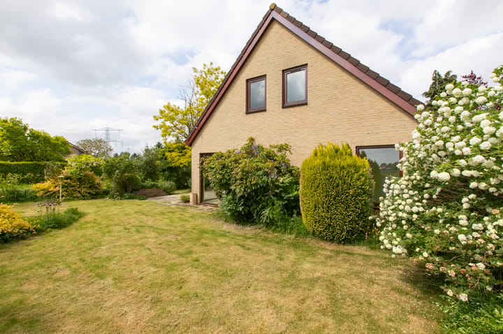 Foto 44 van Sterappel 12