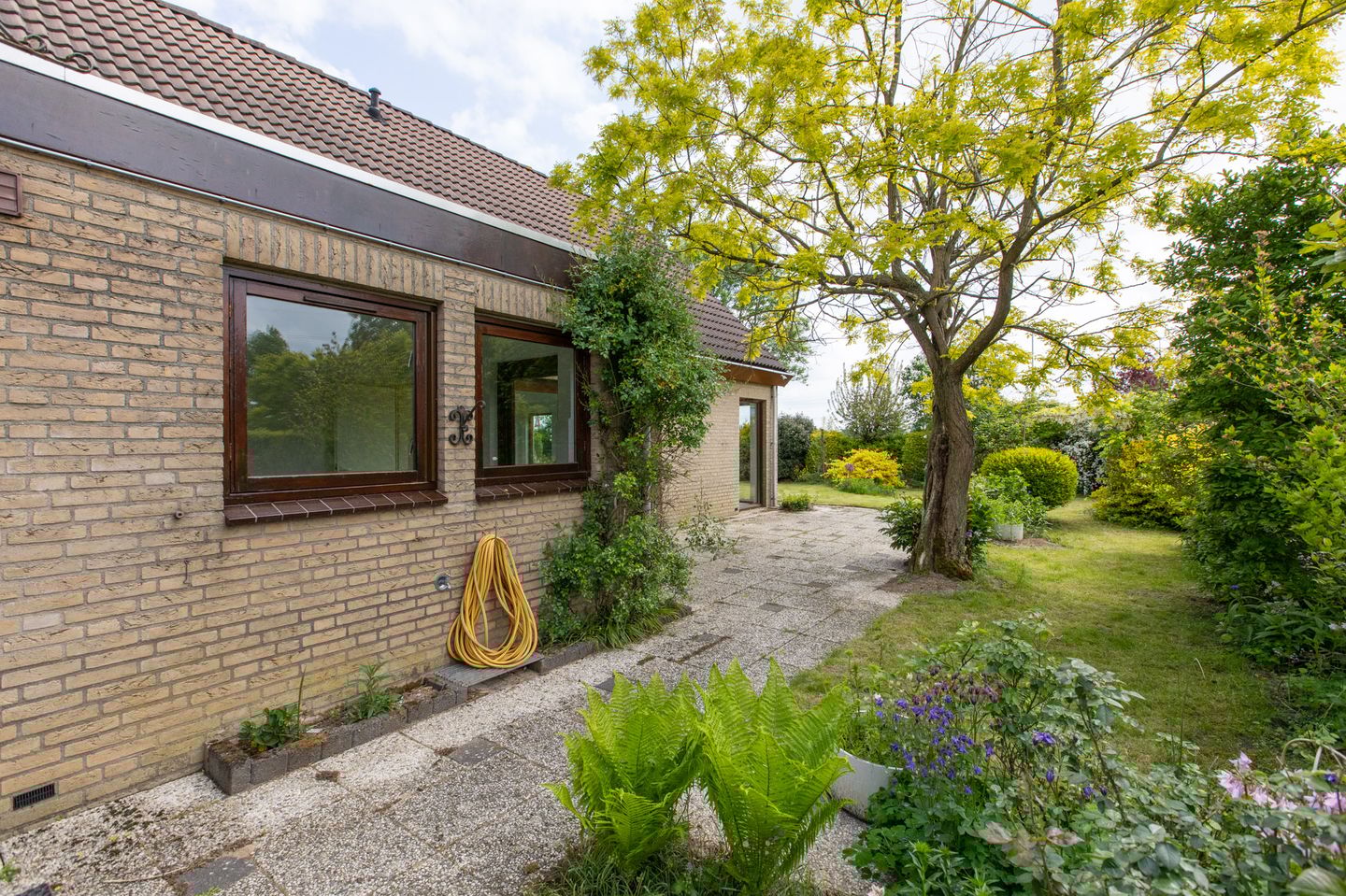 Foto 40 van Sterappel 12