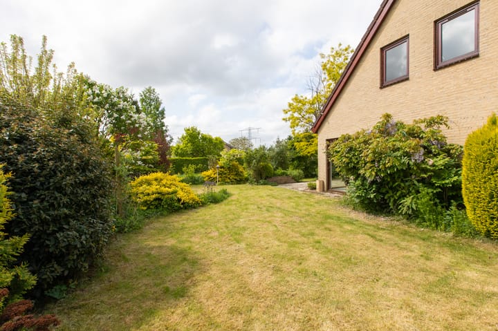 Foto 45 van Sterappel 12