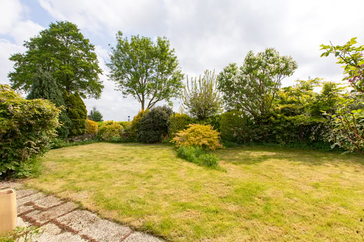 Foto 46 van Sterappel 12