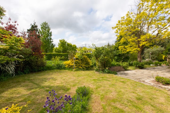 Foto 47 van Sterappel 12