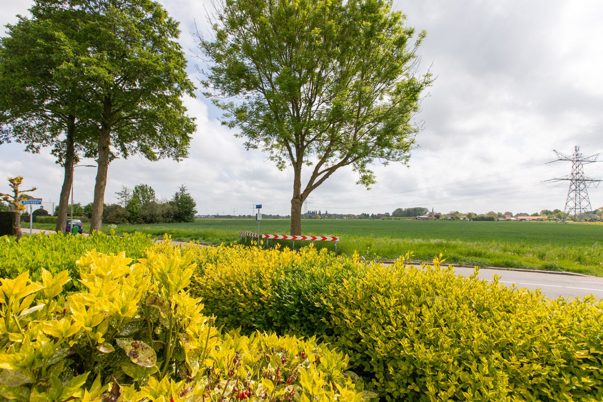 Foto 48 van Sterappel 12