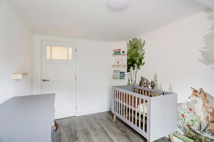 Photo 21 of Misterweg 166