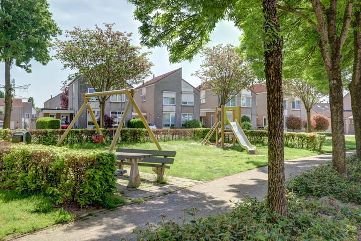 Foto 5 van Zilverschoon 9