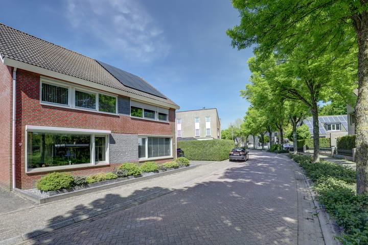 Foto 32 van Zilverschoon 9