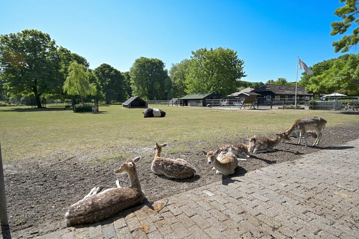 Foto 37 van Burgersdijkstraat 37