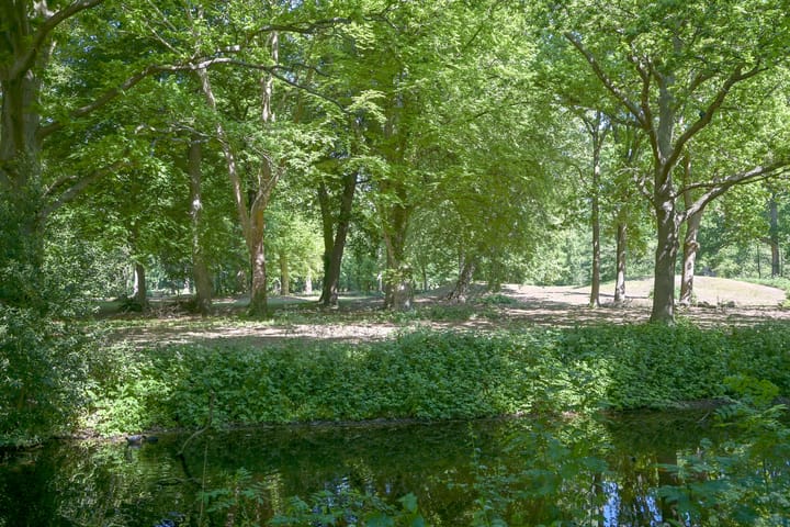 Foto 38 van Burgersdijkstraat 37