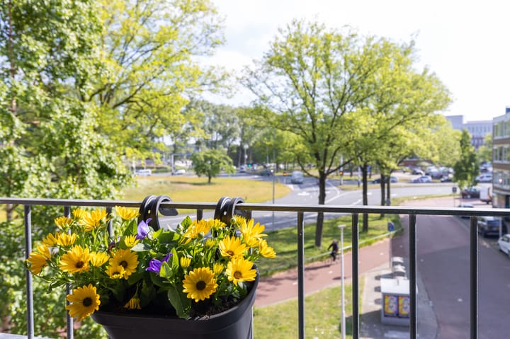 Foto 20 van Koning Davidstraat 57