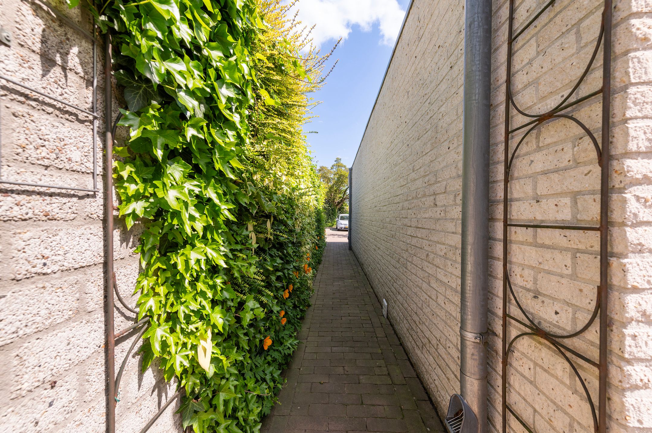 Foto 48 van Blomsgaarden 31