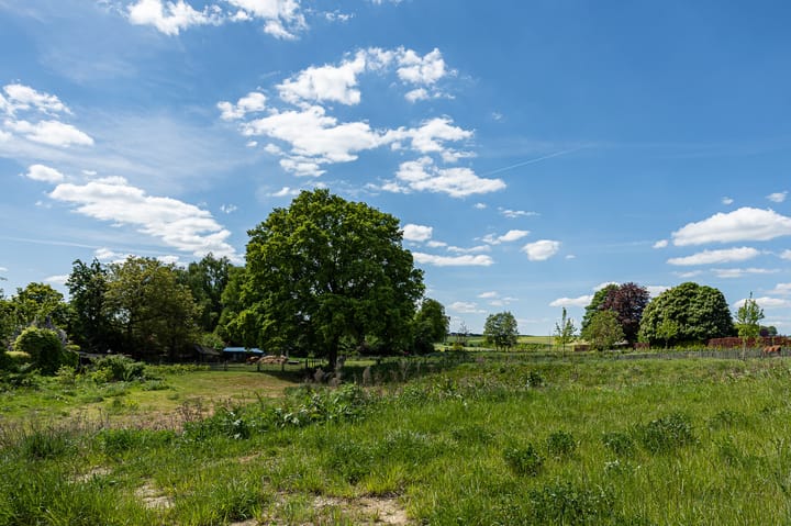 Foto 44 van Wilgstraat 6