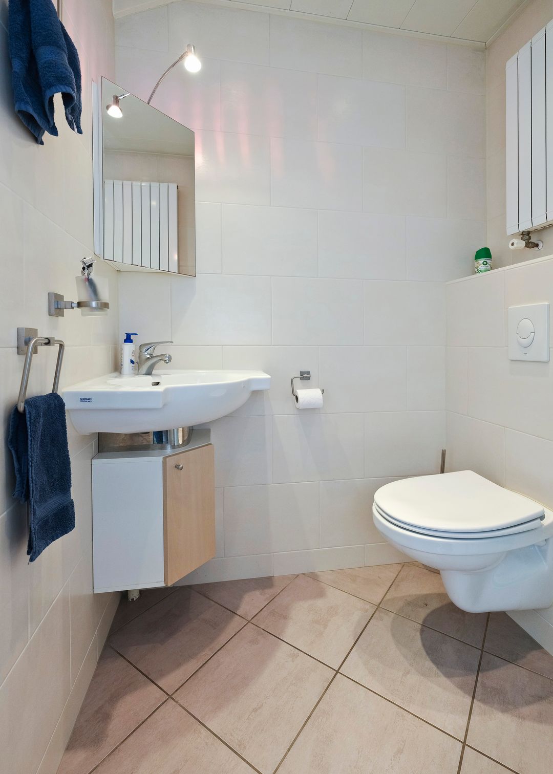 Foto 16 van Rudbeckialaan 35