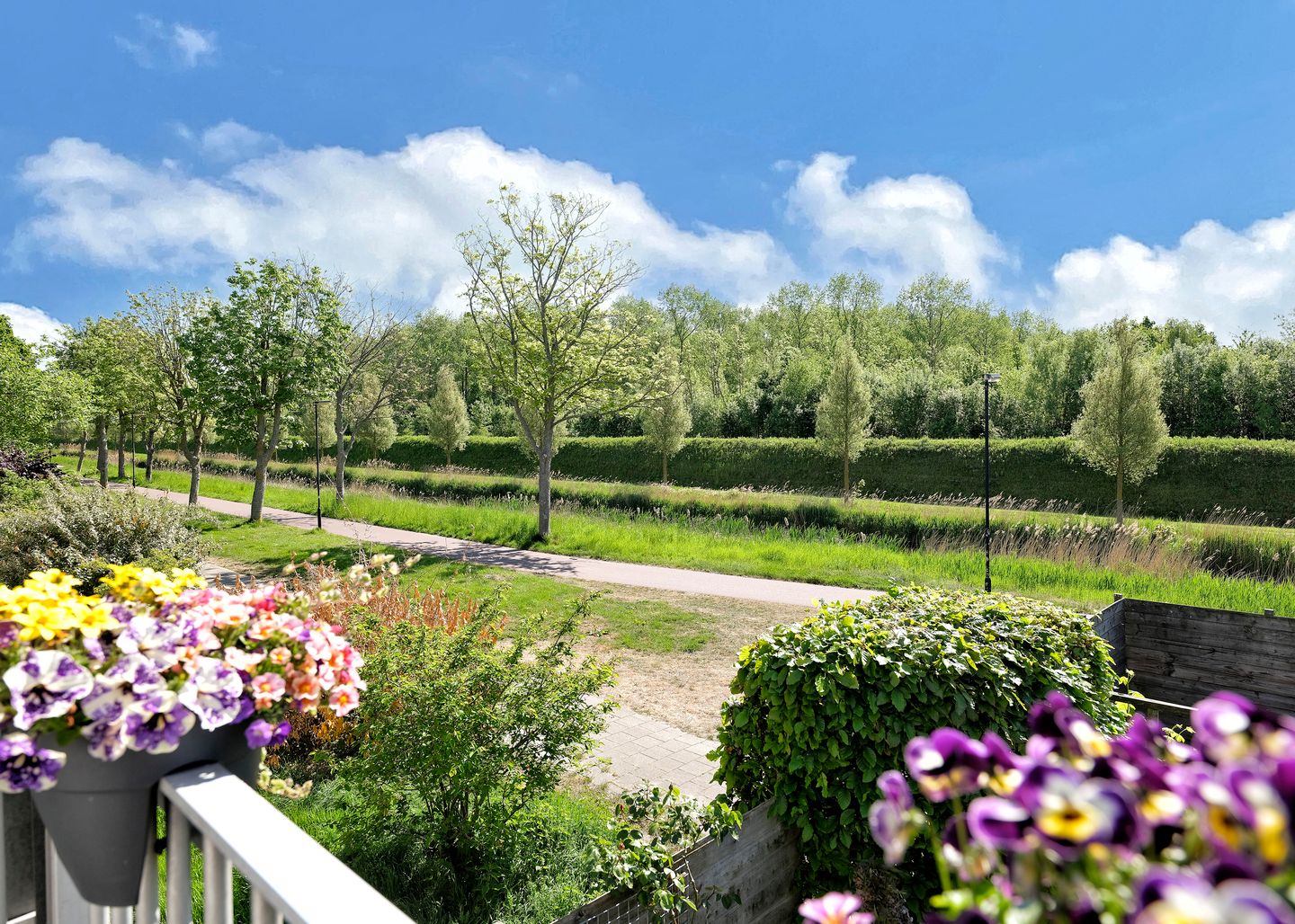 Foto 29 van Rudbeckialaan 35