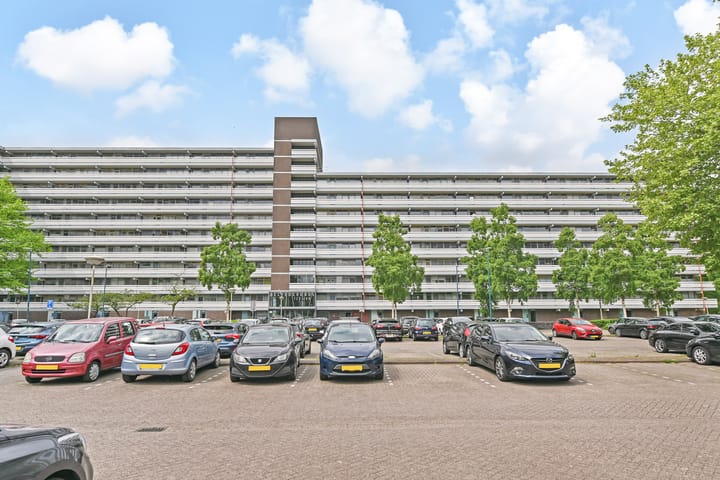 Foto 4 van Belvédèrebos 214