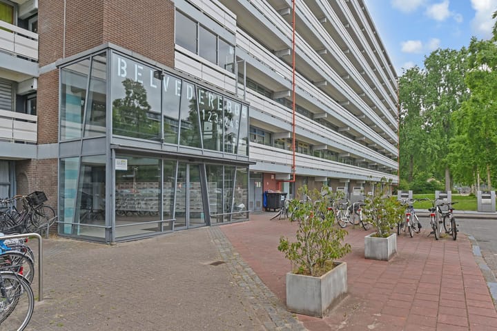 Foto 5 van Belvédèrebos 214