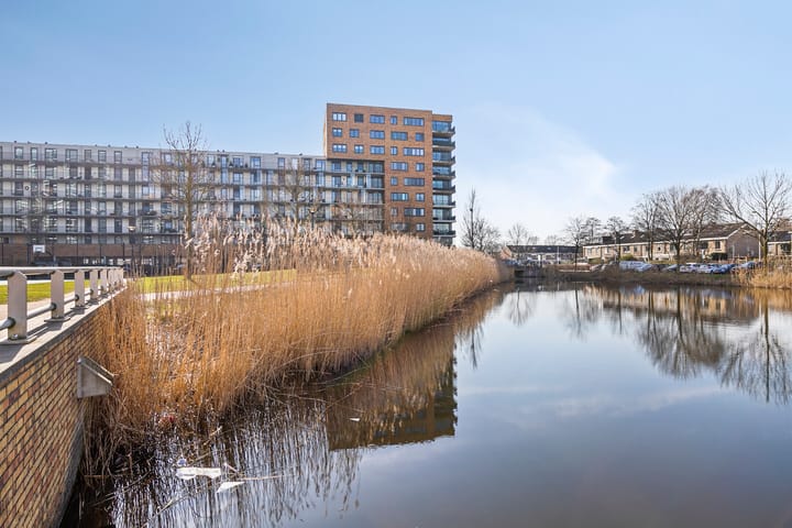 Foto 7 van Buizerdhof 371