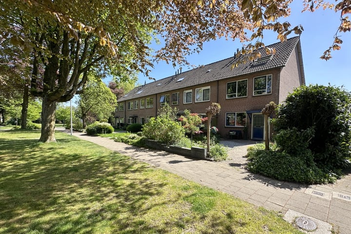 Laanzicht 10