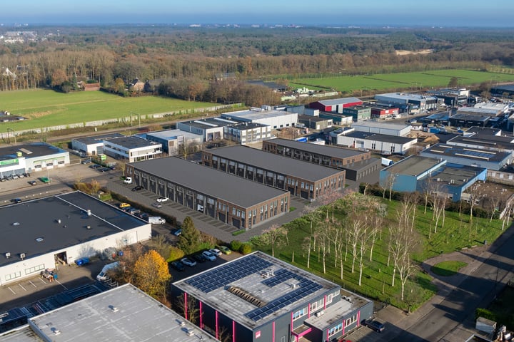 Takkebijsters, Breda