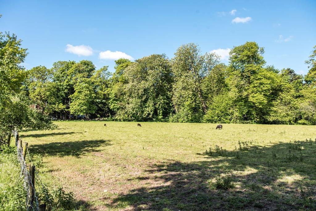 Photo 55 of Teding van Berkhoutlaan 3