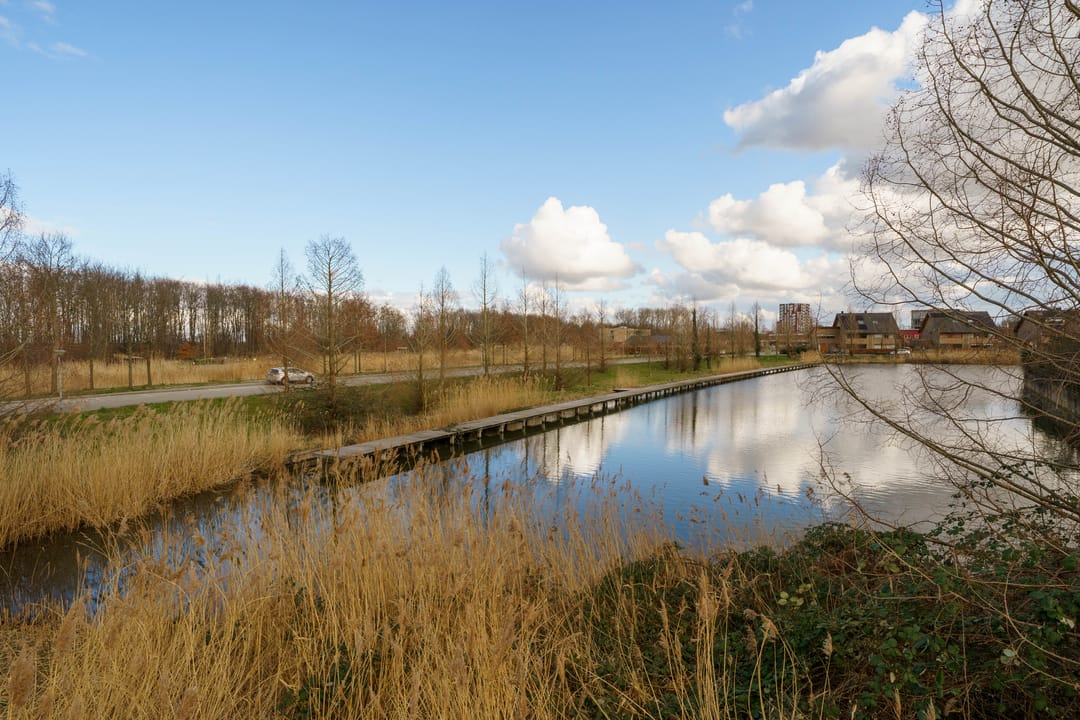 Foto 31 van Chokerstraat 4