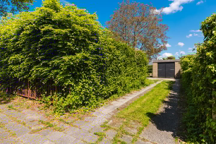 Foto 16 van De Buorren 38