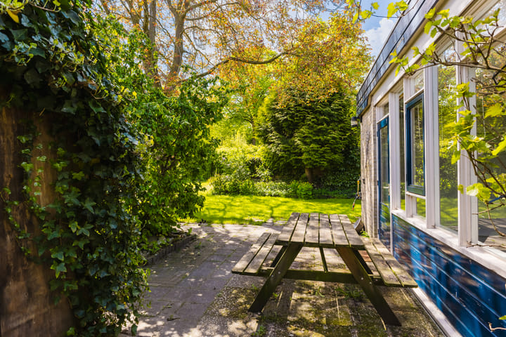 Foto 17 van De Buorren 38