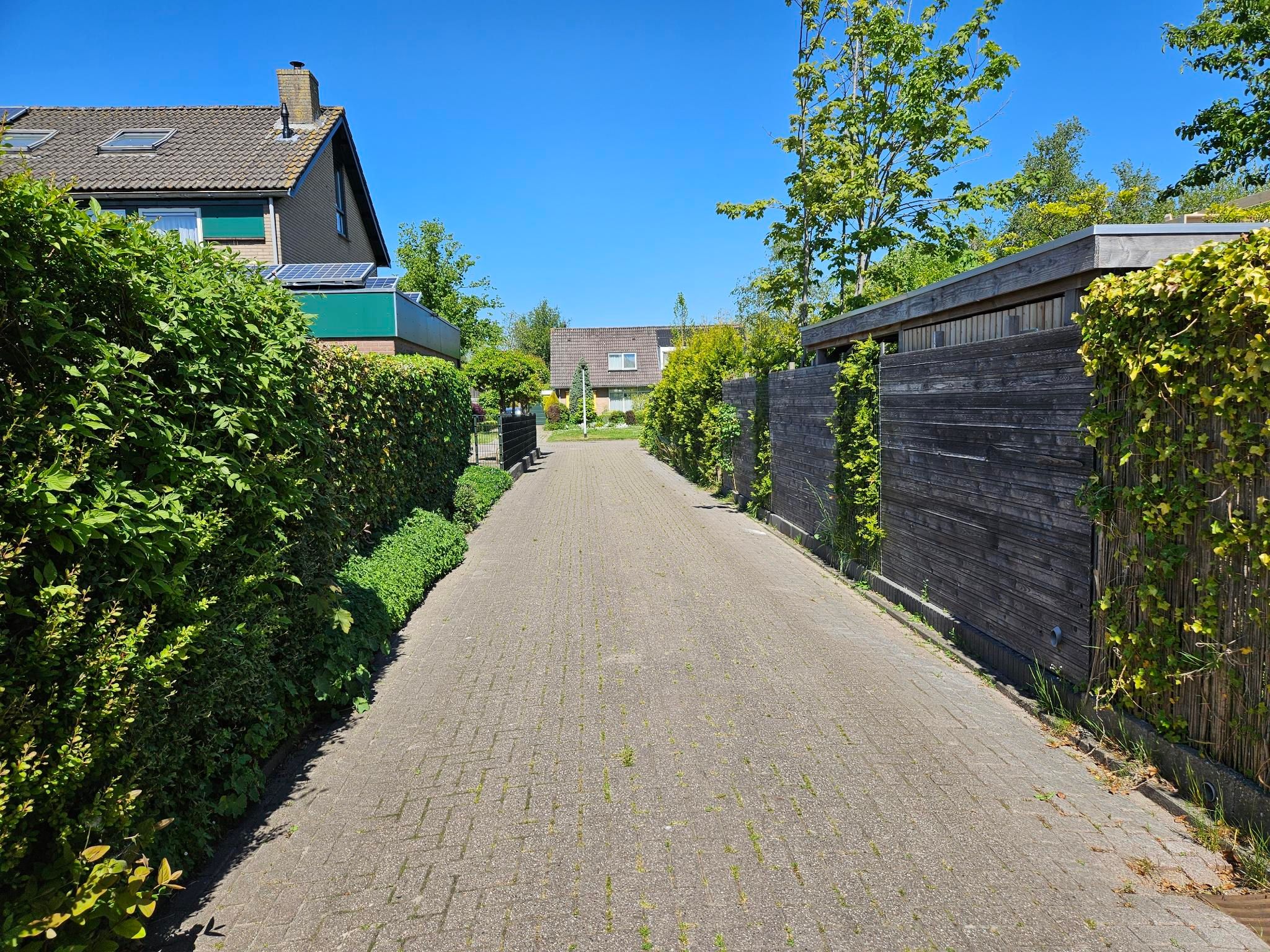 Foto 6 van Reidsjongerstrjitte