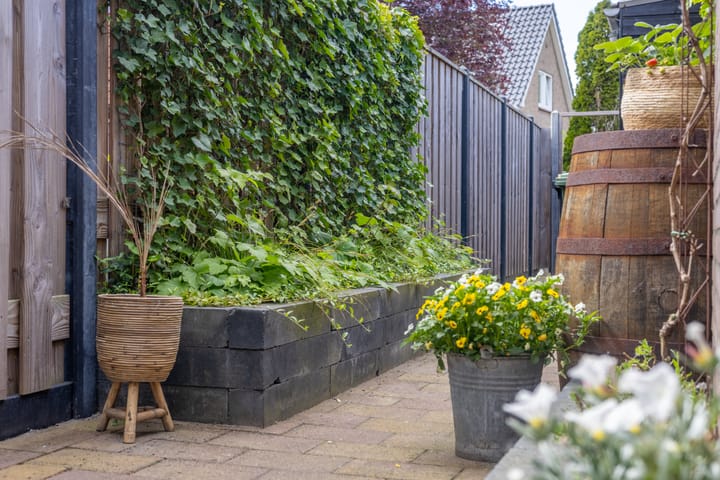 Foto 19 van Sportlaan 6