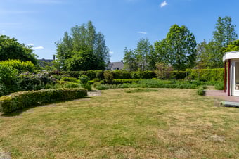 Fazant 35 tertiary image