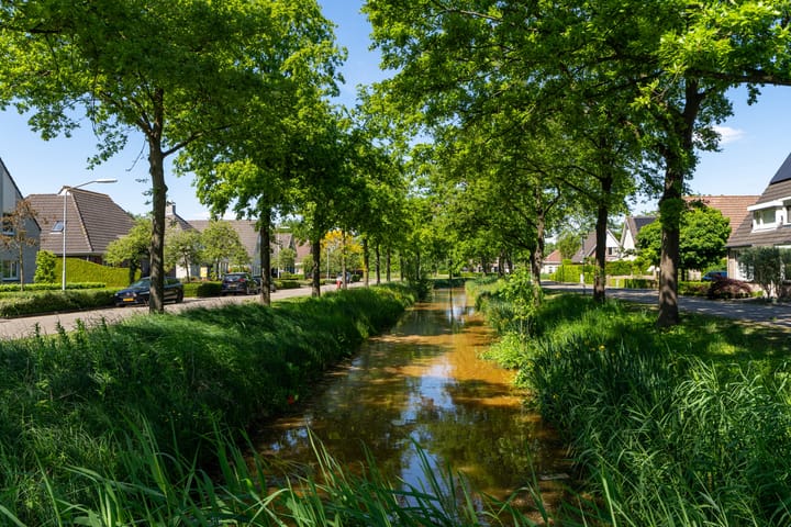 Foto 8 van Fazant 35